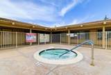 10770 Black Mountain Road - Photo 17