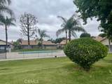 1354 Bushy Tail Trail - Photo 5