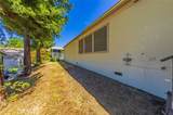 46041 Road 415 - Photo 38
