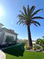 1498 Berry Creek Place - Photo 4