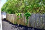 1226 N Main St - Photo 11