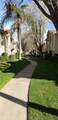 1542 Alluvial Avenue - Photo 8