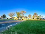 2117 Windflower Dr - Photo 38