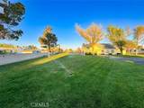 2117 Windflower Dr - Photo 41