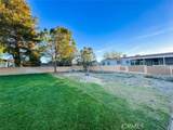 2117 Windflower Dr - Photo 43