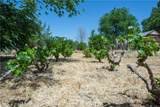 9892 River Road - Photo 32