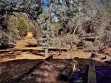 31388 Yosemite Springs - Photo 47
