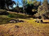 31388 Yosemite Springs - Photo 48
