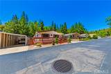 39737 Road 274 - Photo 42