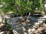 5460 White Oak Avenue - Photo 8