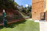 6955 Alvarado Road - Photo 44