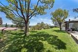 27972 Via Chocano - Photo 21