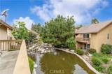 105 Tangelo - Photo 8