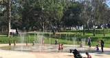 2563 Plaza Del Amo - Photo 40