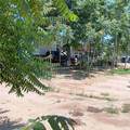 20541 Moore Street - Photo 2