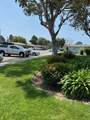 165 Fiesta Green - Photo 25