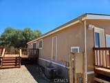 4223 Woodview Lane - Photo 3