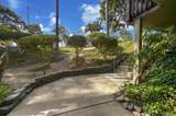 7753 Caminito Encanto - Photo 19