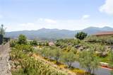 24205 Selwood Drive - Photo 34