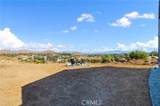 20220 Walnut Street - Photo 20