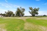 18301 Gum Tree Lane - Photo 21
