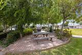 3530 Damien - Photo 56