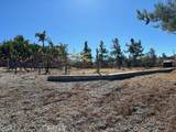 43735 Cardinal Road - Photo 7