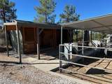 43735 Cardinal Road - Photo 9