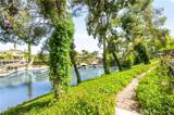 24311 Canyon Lake Drive - Photo 26