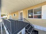 43831 Rassle Drive - Photo 5