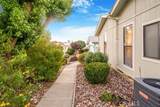 10135 Donner Trail - Photo 57