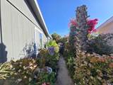 15935 Spring Oaks Rd - Photo 17