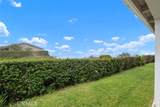 31202 Palma Drive - Photo 38