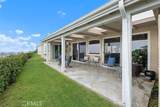 31202 Palma Drive - Photo 39