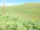 0 Douglas Rd. (Lot 41) - Photo 15