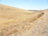 0 Douglas Rd. (Lot 41) - Photo 19
