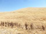 0 Douglas Rd. (Lot 41) - Photo 22