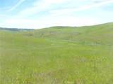 0 Douglas Rd. (Lot 42) - Photo 18