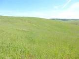 0 Douglas Rd. (Lot 42) - Photo 19