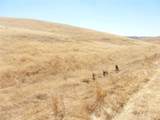 0 Douglas Rd. (Lot 42) - Photo 32