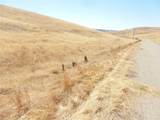 0 Douglas Rd. (Lot 42) - Photo 33
