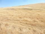 0 Douglas Rd. (Lot 42) - Photo 35