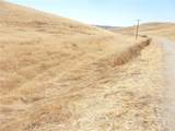 0 Douglas Rd. (Lot 42) - Photo 37