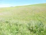0 Douglas Rd. (Lot 43) - Photo 17