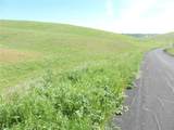 0 Douglas Rd. (Lot 43) - Photo 25