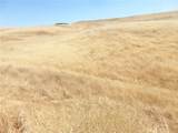 0 Douglas Rd. (Lot 43) - Photo 39