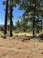 12269 Andy Mountain - Photo 5