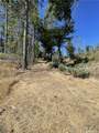 12269 Andy Mountain - Photo 10