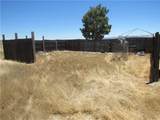 14555 Artesia Trail - Photo 37