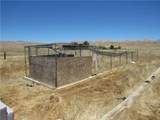 14555 Artesia Trail - Photo 41
